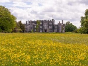 A small castle with a field of yellow flowers in front of it.