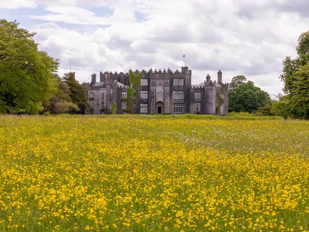 A small castle with a field of yellow flowers in front of it.